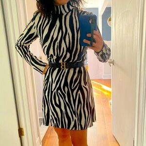 Zebra patterned Zara dress